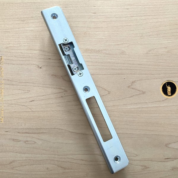 JIS 1720-902G/B 12-24 V ac/dc. Elektrische sluitplaat met grijze stalen frontplaat